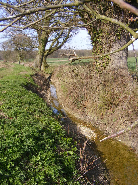 Ditch next to the footpath to Rotten End