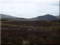 SH7160 : Snowdonia view by Eirian Evans