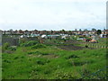 Allotments, Bridlington Old Town