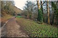 Yeovil: Pathway on Dismantled Railway Track