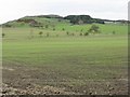 NS9872 : Fields near Gormyre by M J Richardson
