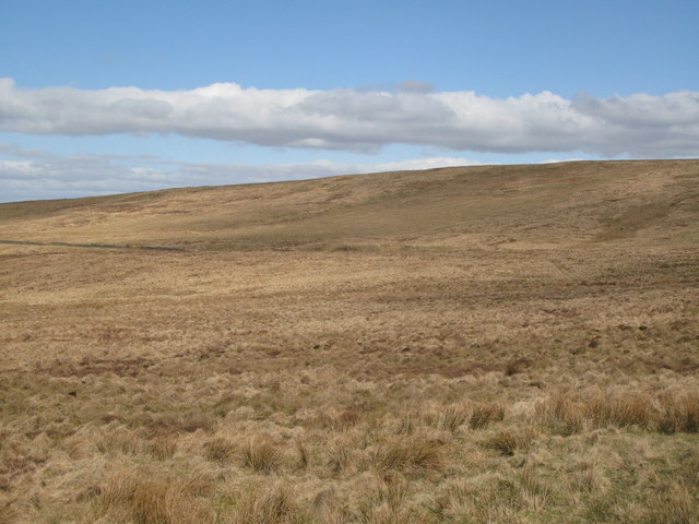 Moorland below Whiteside End