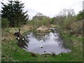 Mill pond at Glenhead Farm