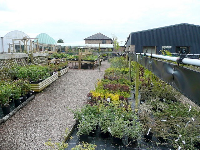 Plant area at Pengethley 1 © Jonathan Billinger :: Geograph Britain and ...