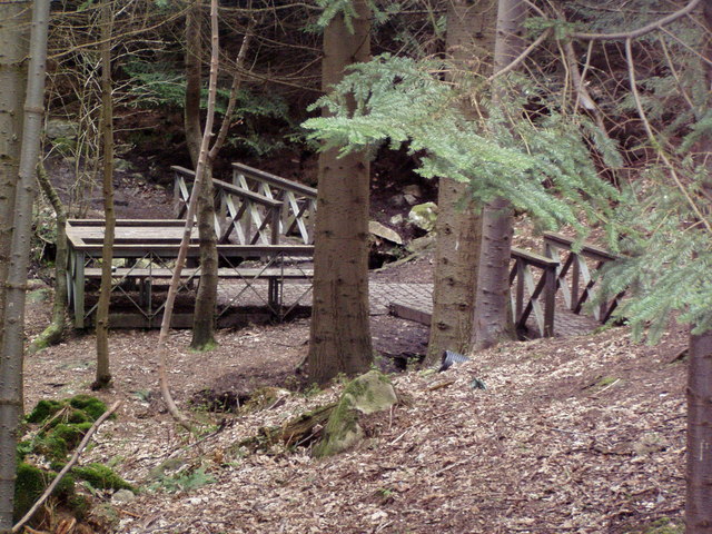 Bridge and viewing platform