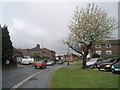 Spring in Sompting Road