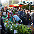 TQ3382 : Columbia Road. Flower Market by Kim Freeman