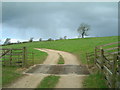 Track near Glebe Farm (footpath)