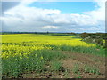 Farmland off Stephenwath Lane