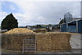 Potatoes at Cob House Farm