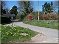 Road junction with forget-me-nots