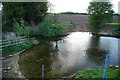 Wide Ford at Mill Farm on the River Witham