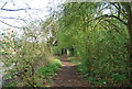 Riverside path, Aylesford