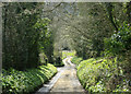 2010 : Ayford Lane near the bottom