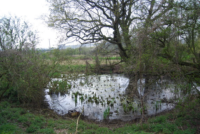 Small pond by the Medway Valley Walk © N Chadwick :: Geograph Britain ...