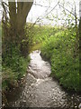 Bourne Dyke from Alder Bed Wood