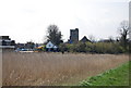 Looking across reed beds to Snodland Church