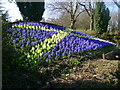 Patriotic flowerbed