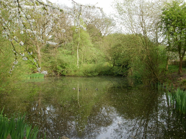 Pond on Hampstead Heath Extension © Peter S cc-by-sa/2.0 :: Geograph ...