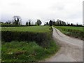 Lane, Derrycanon