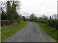 Road at Derrintony