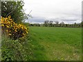 Ummera Townland