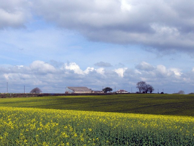 View looking towards Headland Farm from entrance to Whitelands