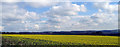 View from near Headland Farm looking east