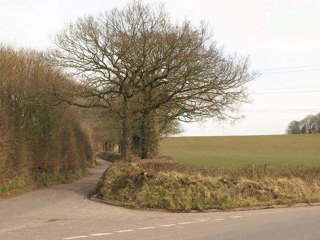Lane to Ivy Cross