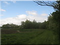 Footpath beside the River Great Stour