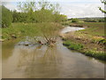 River Great Stour - flowing towards Wye