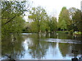 Pond, Sherborne St John