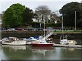 Boats moored at Kingsbridge Creek