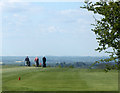 ST8746 : 2010 : Golf on Arn Hill Down by Maurice Pullin