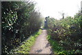 Medway Valley signpost, Batys Marsh