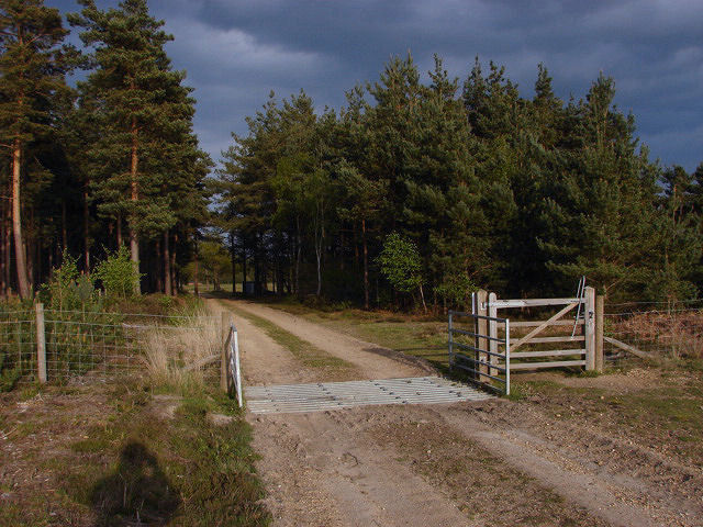 Ash Ranges © Alan Hunt :: Geograph Britain and Ireland