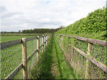 TL6457 : Icknield Way Path by Hugh Venables