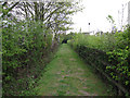 Footpath away from Dullingham