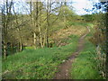 Narrow bridge beside the road to Thorncliffe