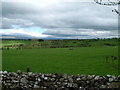NY5918 : Farmland near Sleagill by David Brown