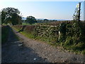 Footpath and track to Llanynys