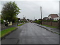 A wet May morning in Cokeham Lane