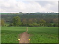 Footpath near Meltonby Hall