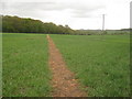 Footpath to Foreland Wood