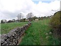 Footpath south-east of East Blackdene