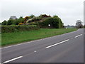 Old railway embankment by the A40