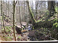 Unnamed Beck near Common House