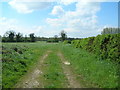 Farm track near Barmby Moor