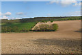 Ploughed Field in Alkham Valley