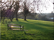 SP2872 : Abbey Fields from Abbey Hill, Kenilworth by John Brightley